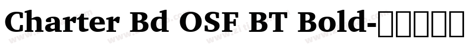 Charter Bd OSF BT Bold字体转换